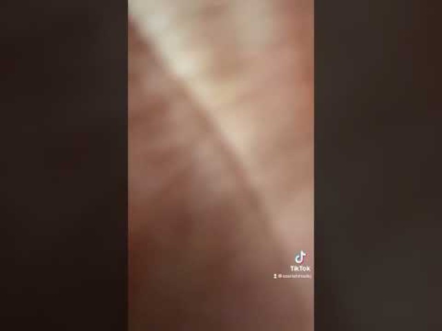 Naiades Aqua Christmas Porn Hot Sexy Influencer Straight Sex Xxx