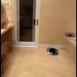 Jackson O Doherty Sex Leaked Video Porn Influencer Xxx Straight