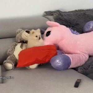 Neiva Mara Compilation Sex Porn Onlyfans Hot Xxx Influencer